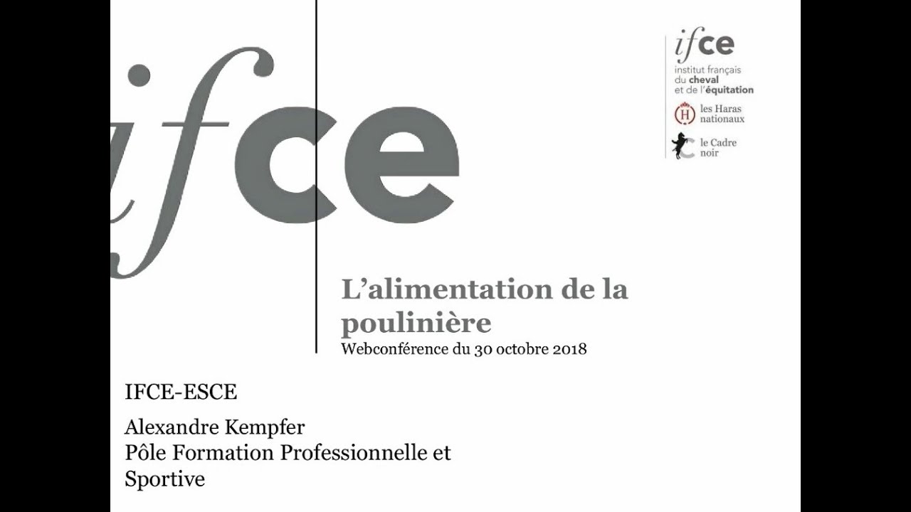L'alimentation de la poulinière - Alexandre Kempfer