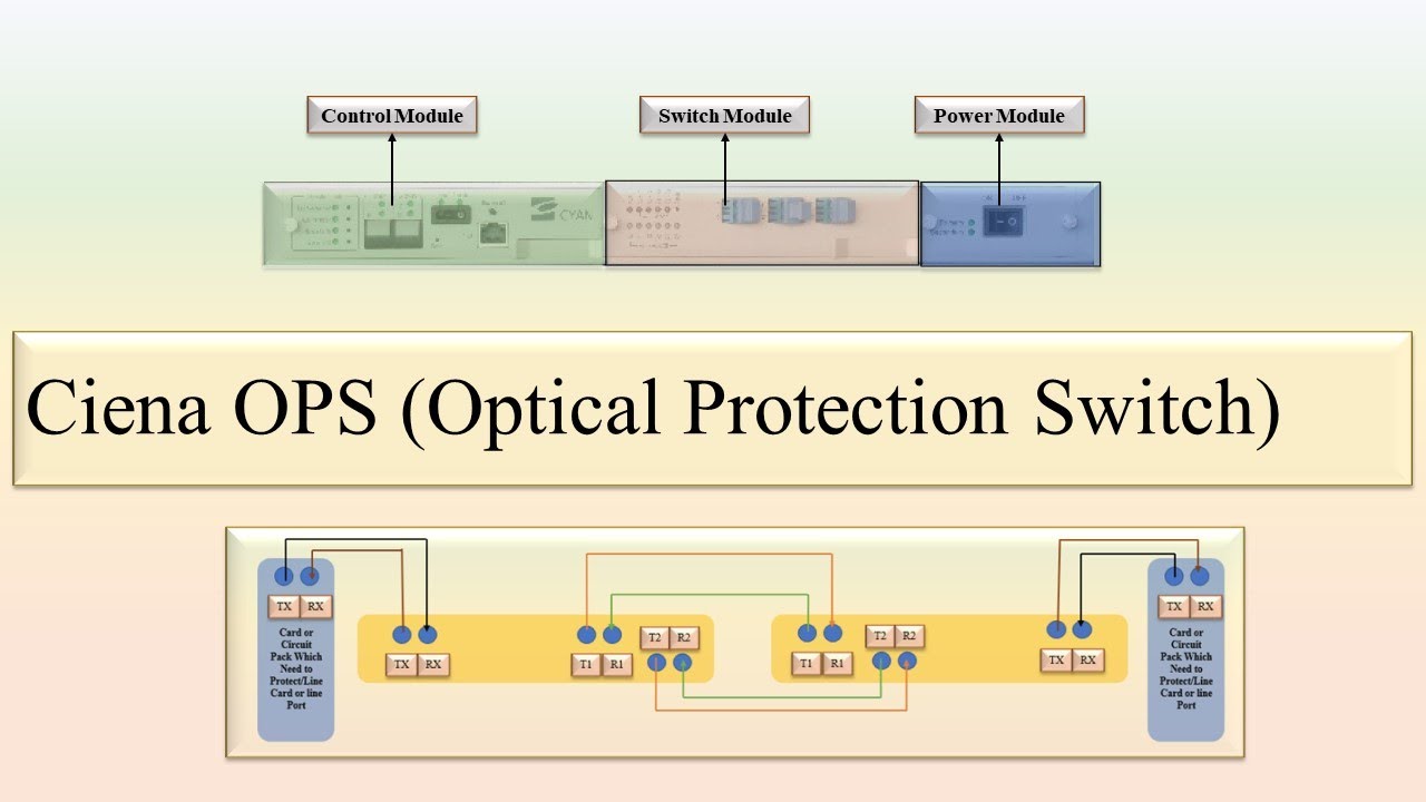 Ciena OPS (Optical Protection Switch) || Connectivity and function