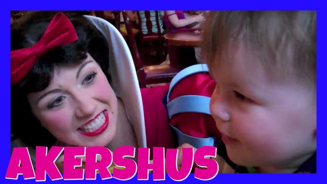 Aidan and Emily meet ALL THE DISNEY PRINCESSES!