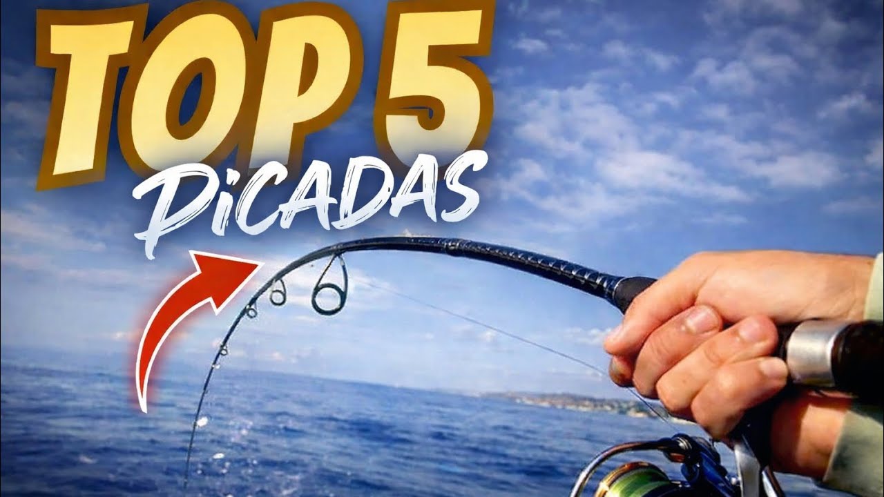 TOP 5 PICADAS - Vlog 15