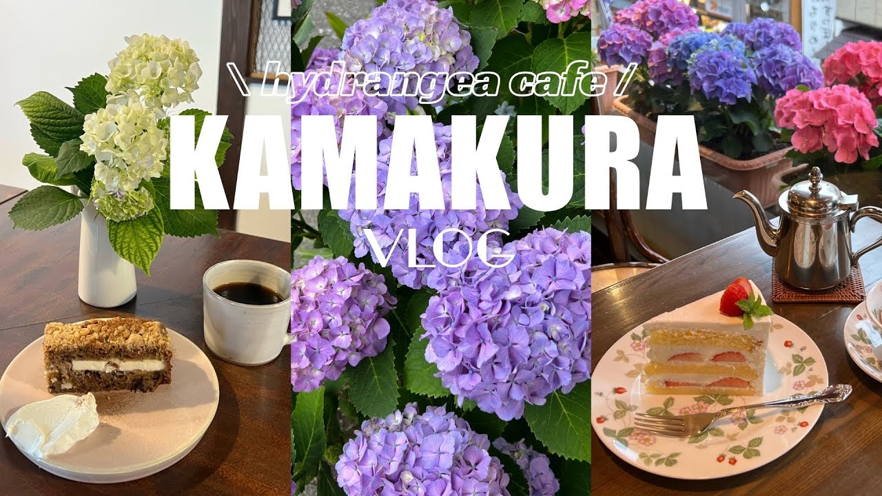 ［ 鎌倉 ］紫陽花カフェ巡り/甘いものを食べながら花活する1日