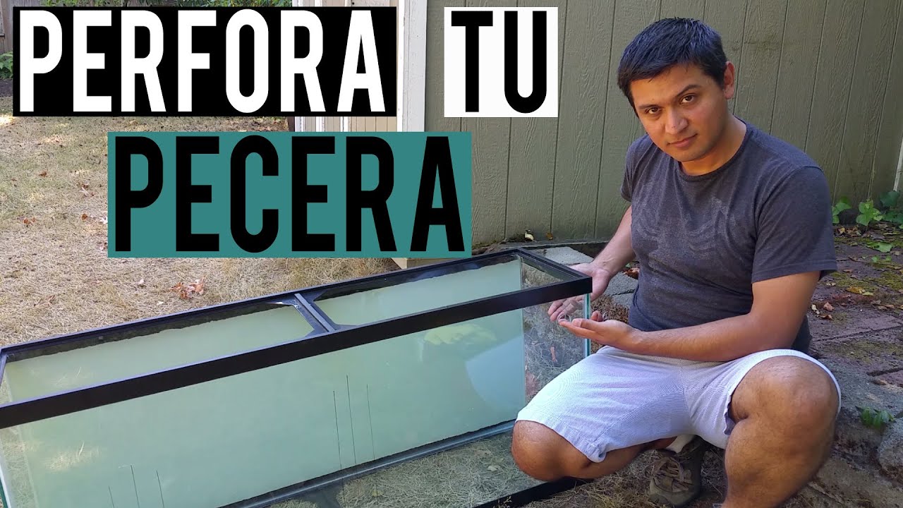 ¿Cómo perforar el vidrio de una pecera? - AcuaTV