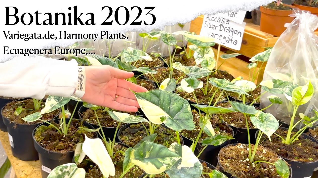 Botanika 2023 in Hamm | VLog