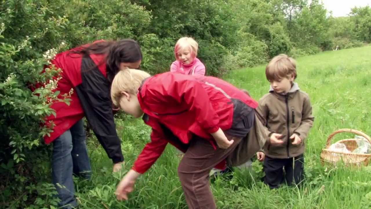 Kräuterführung mit Kindern - Wildkräuter sammeln und Kochen