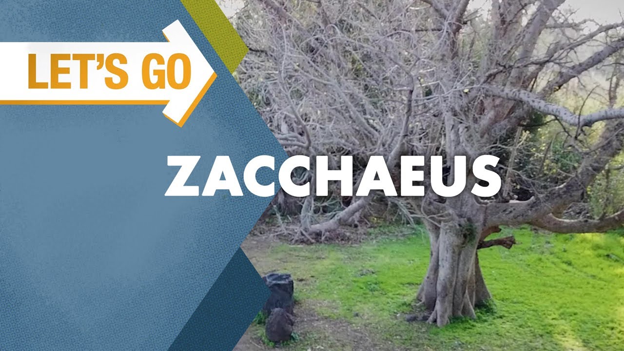 Let's Go: Zacchaeus