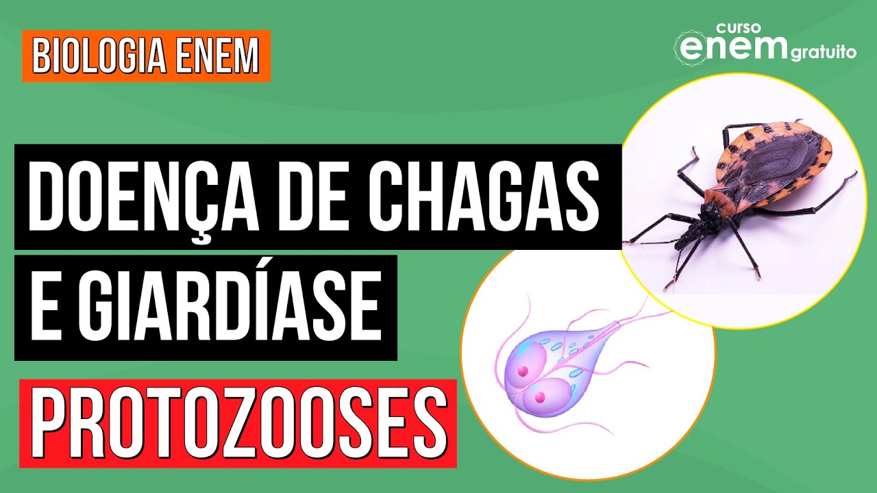 Protozooses: Giard&iacute;ase e Doen&ccedil;a de Chagas | Resumo de Biologia para o Enem | Cl&aacute;udia de Souza Aguiar