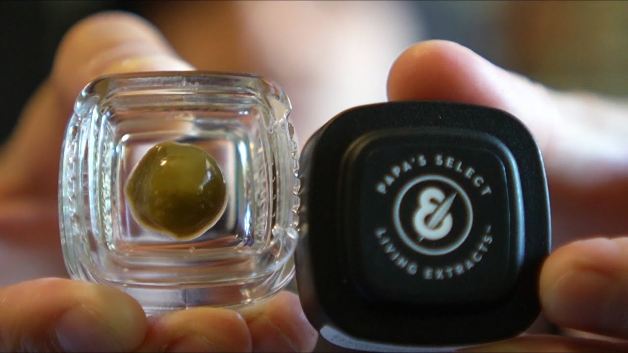 TRYING PAPA'S SELECT SECOND PRESSED LIVE ROSIN