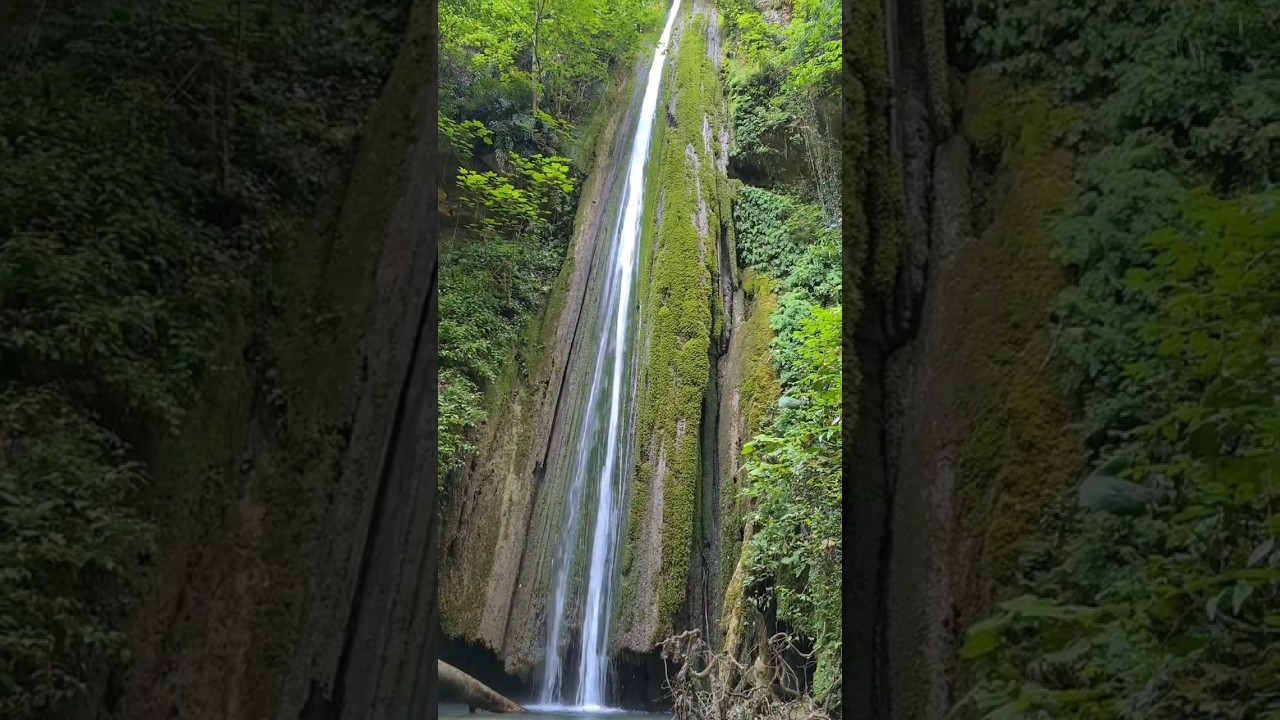 WATERFALL | Waterfall Video | Waterfall Beauty #waterfall #waterfallvideo #shorts