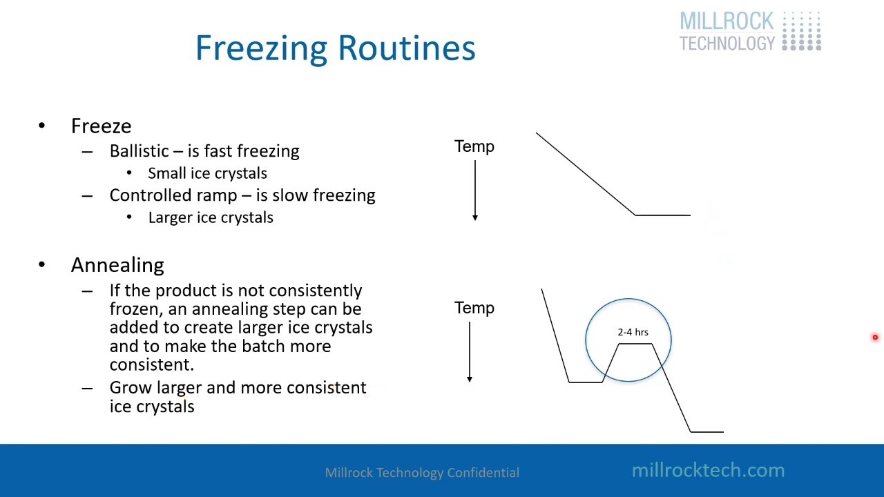 Introduction to Freeze-Drying - General Overview