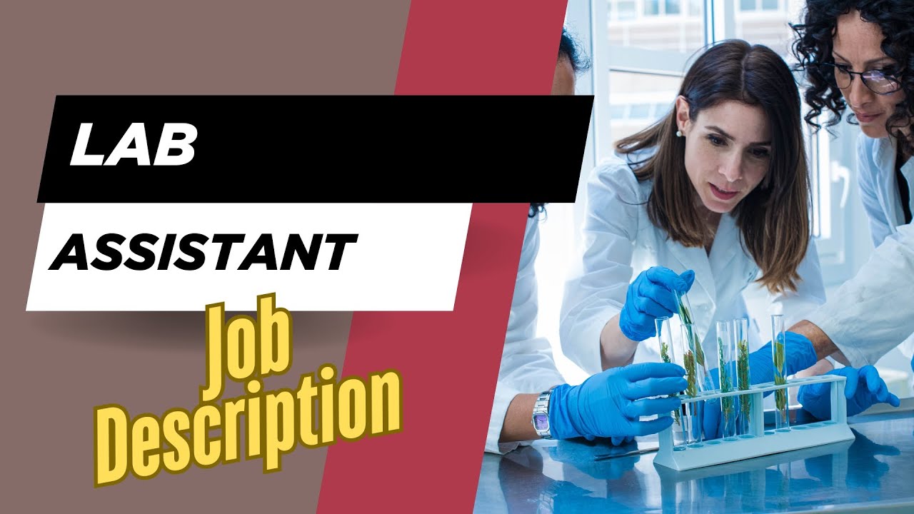 Job description of Lab Assistant - Role, Responsibilities & Skills