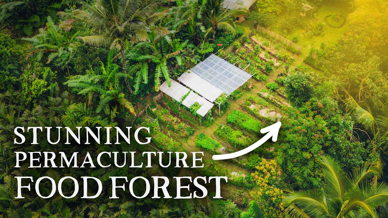 This Amazing Regenerative Vegetable Garden Shows What's Truly Possible