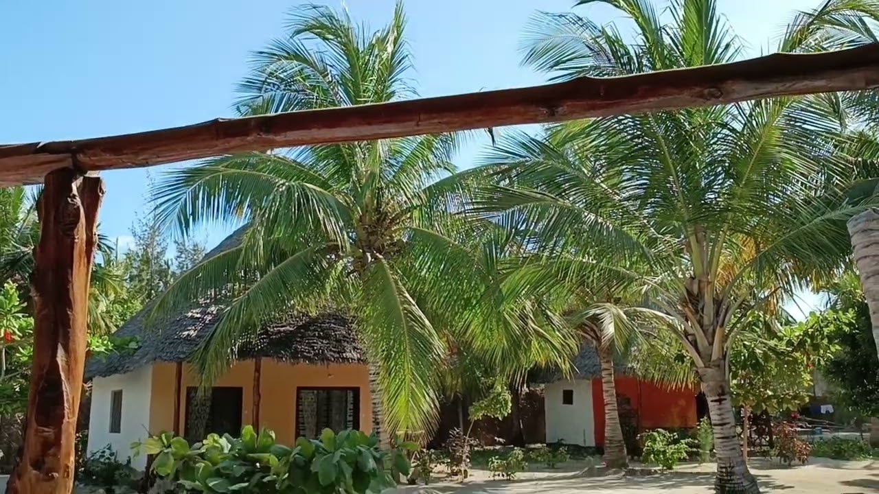 the most beautiful place in Zanzibar 🏝️ Michamvi Kae