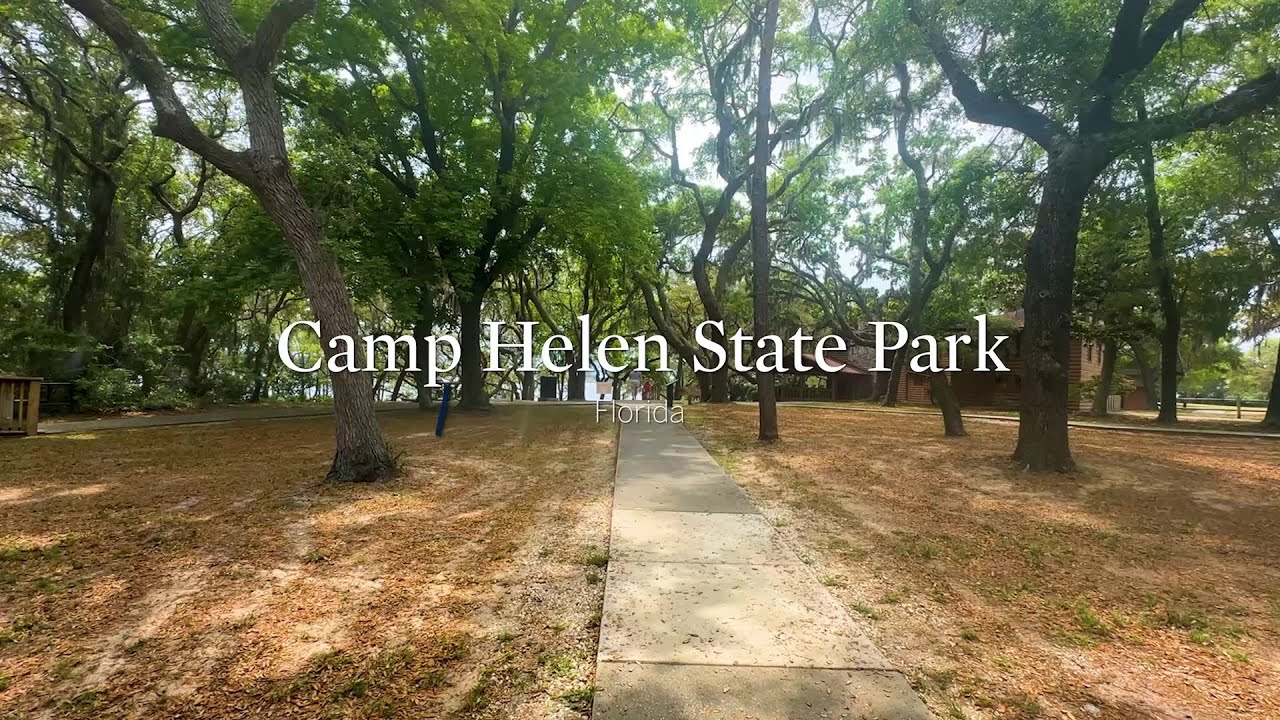 Camp Helen State Park | Neighborhood Guide | Sotheby's International Realty [Rolla]