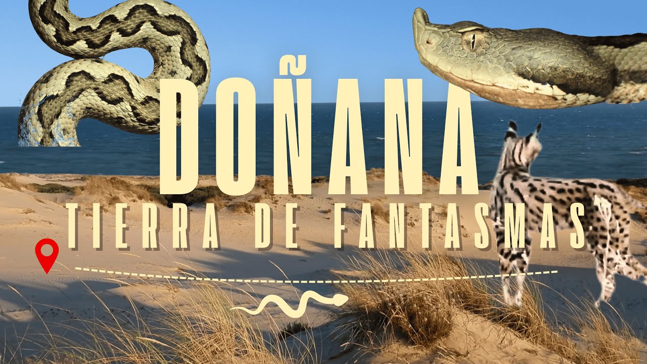 DOÑANA, Tierra de fantasmas. Tras la pista de la víbora hocicuda