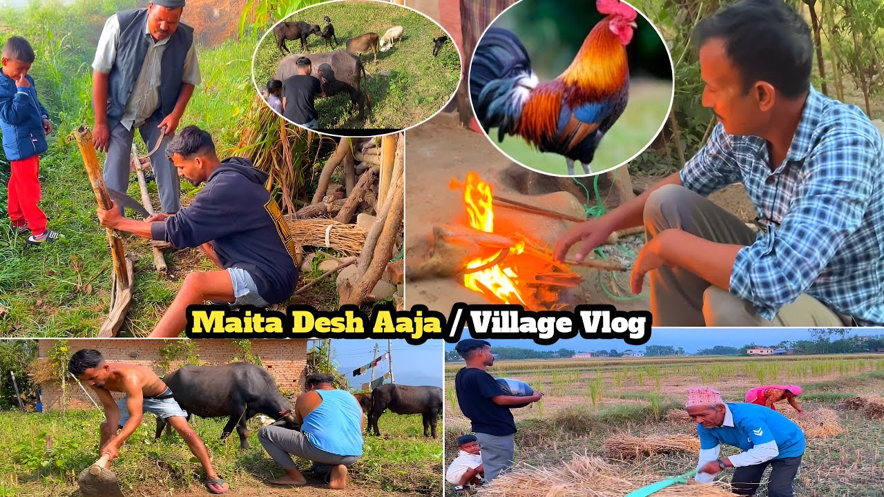 Sasurali vlog -1   / Village  Vlog @diipenndra-c5m  / Dipendra Dangi