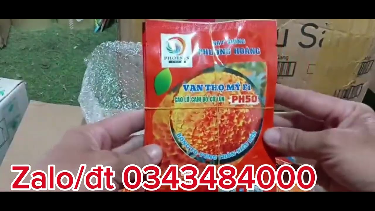 Hạt giống phượng hoàng, chất lượng đã được nhà vườn kiểm định PH50 PH55 hàng đep 