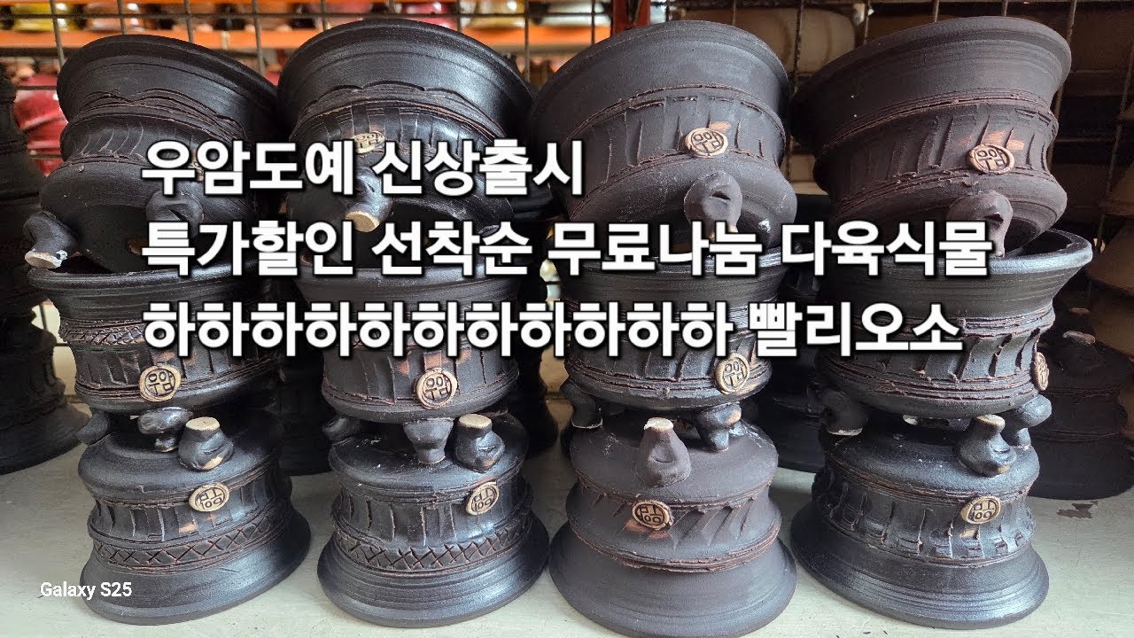 우암도예  무료나눔 2월24일화요일오전9시실방  신상출시 특가 할인 선착순  #다육#다육화분#화분 #다육식물 #분갈이흙#야생화#아프리카식물 010-9395-177