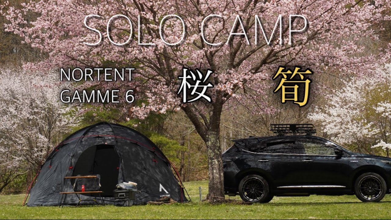 【ソロキャンプ 】新幕デビュー/桜の真下で筍ご飯/NORTENT GAMME 6