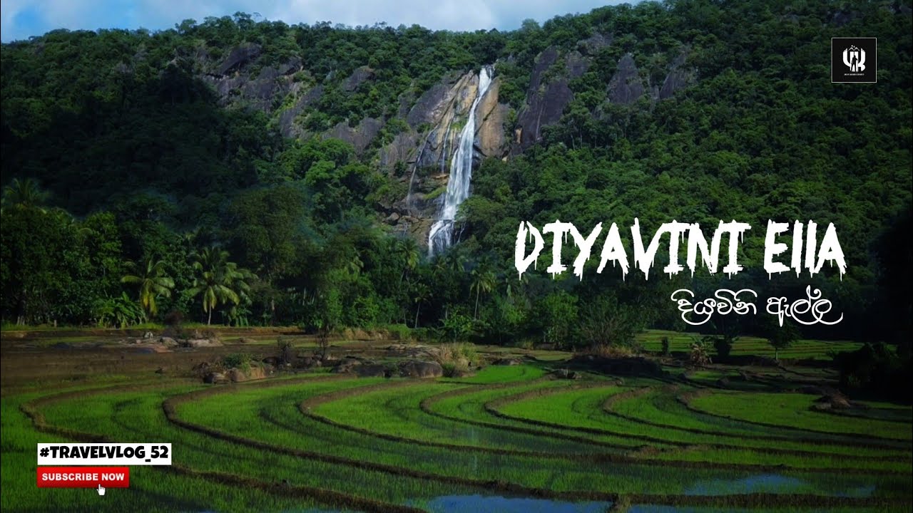 මේ වගේ ගමක ජීවත් වෙන්න කොච්චර වාසනාවන්ත වෙන්න ඕනද 😍 | Diyavini Ella Falls | Sri Lanka 🇱🇰