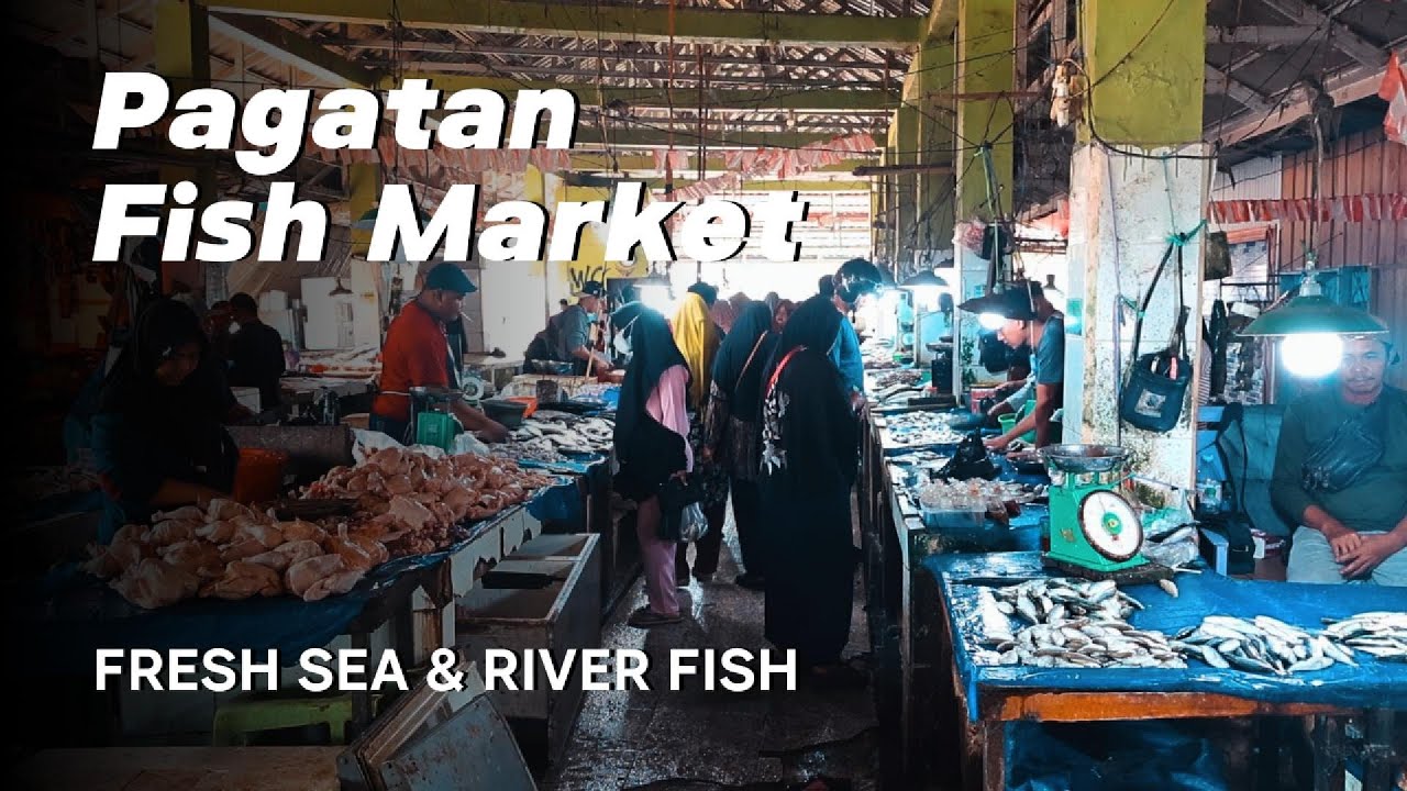 Lively Pagatan Fish Market, South Kalimantan | Fresh Sea & River Fish