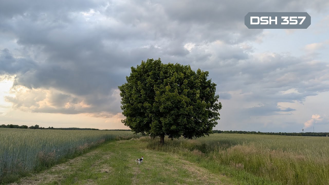 DSH 357 | Atmospheric Deepness & Melodic Grooves