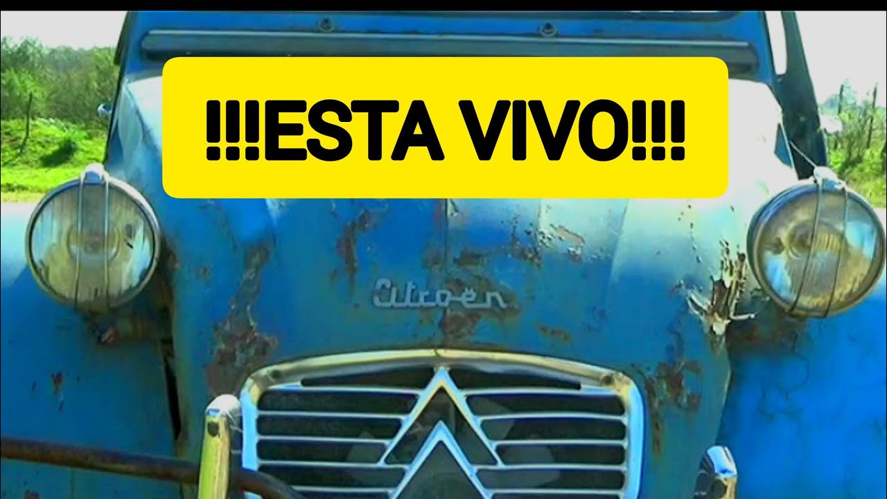 Citroen 2cv - !!!Esta vivo!!!