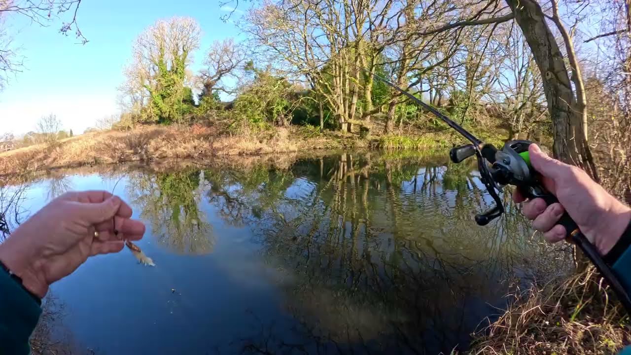 Quick hour PREDATOR fishing on local canal