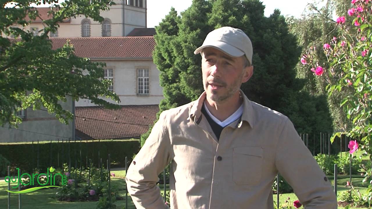 Le PARC du THABOR à RENNES - Son histoire, ses jardins, sa flore et sa faune