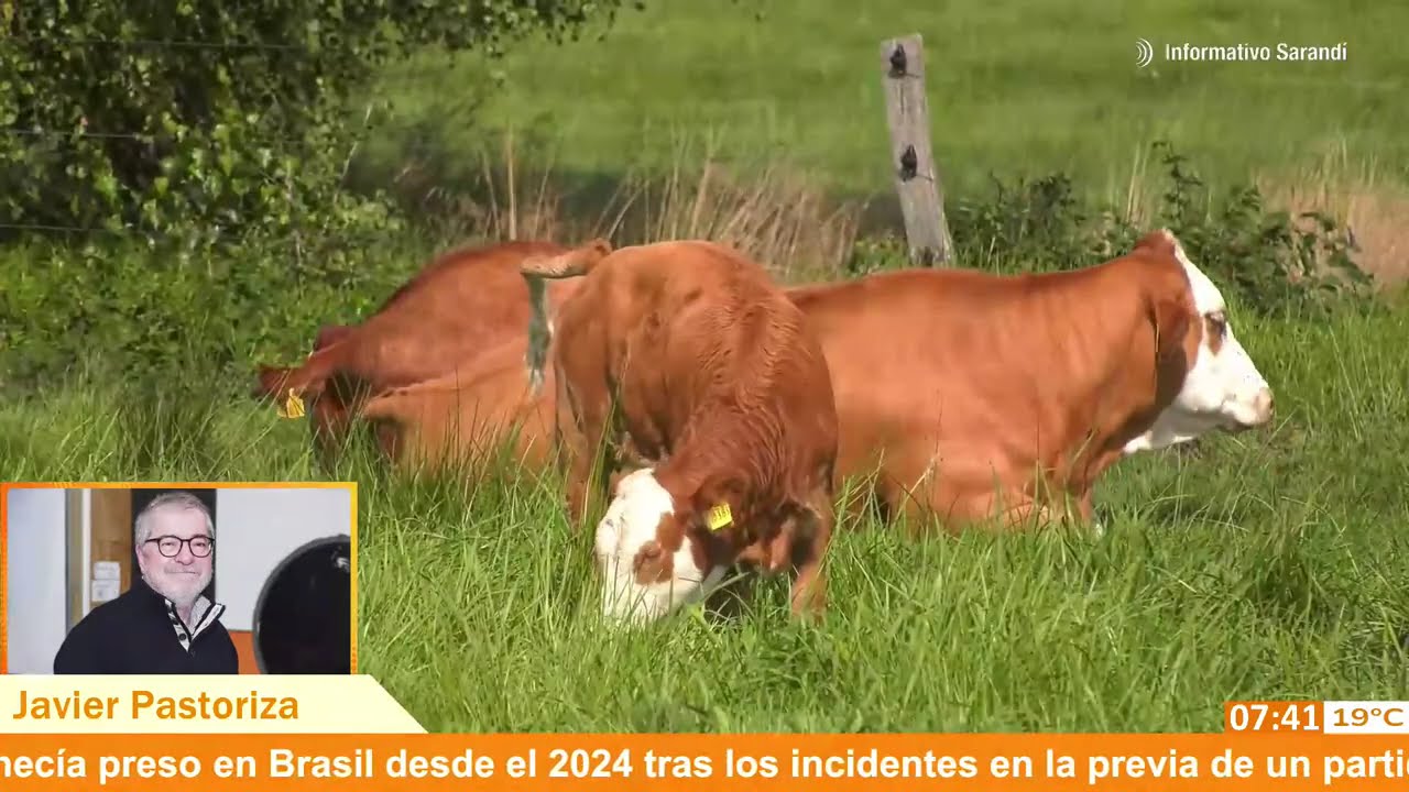Titulares de Agronegocios en Informativo Sarandí