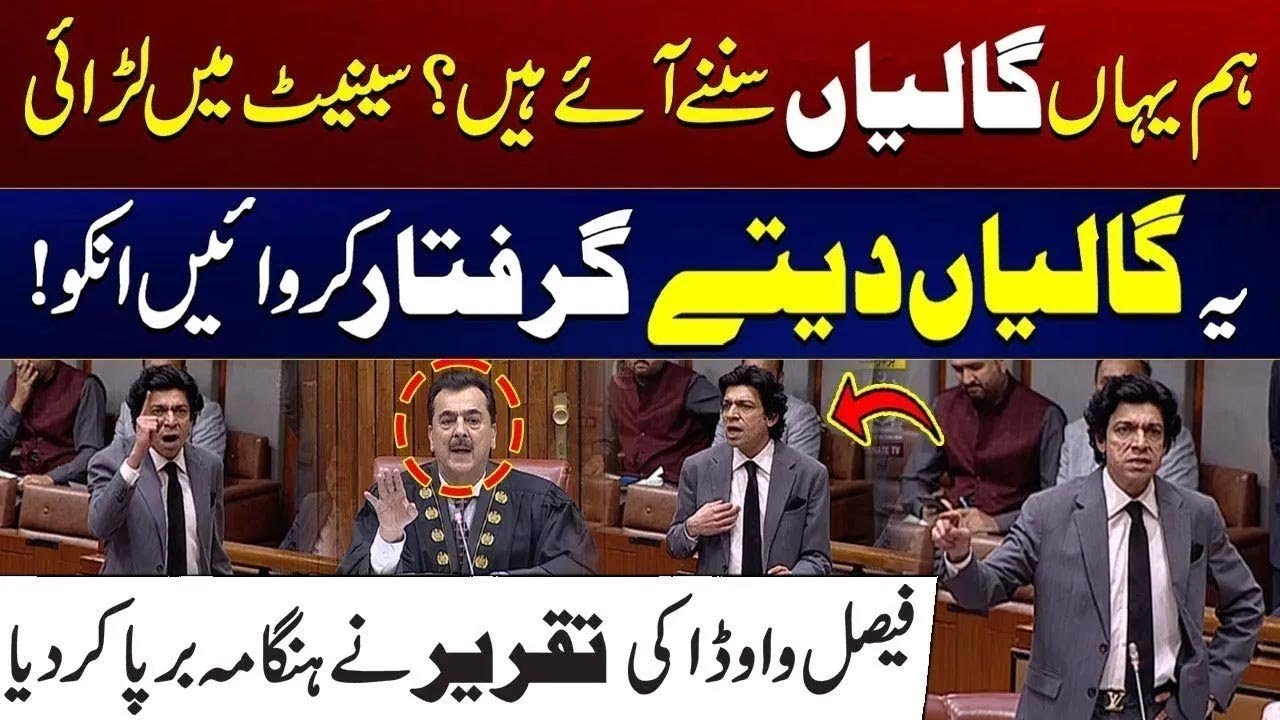 Heavy fight In Senate | Faisal Vawda Aggressive Speech in Senate Session | City 41