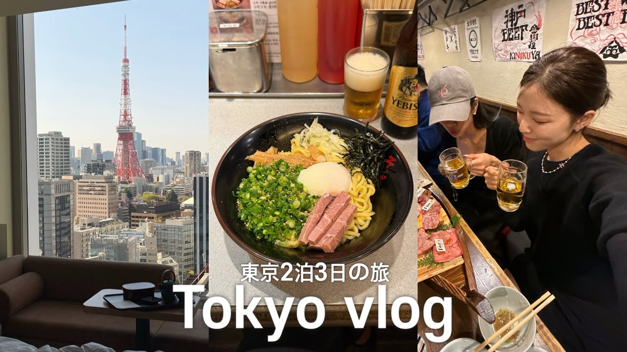 도쿄브이로그 | 🇯🇵2박3일 알찬일정 | 출장이라 쓰고.. 돈키호테 쇼핑이라 읽는 | 긴자, 롯본기, 시부야 맛집