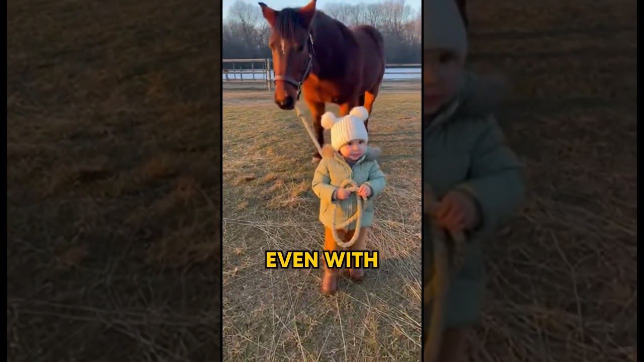 Little Girl is NOT Afraid of This Giant Horse 👧🐴💪