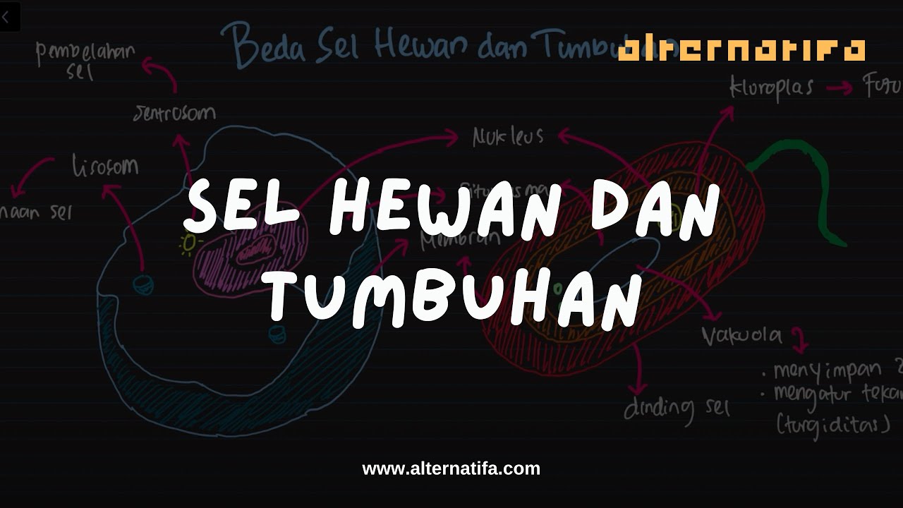Sel: Beda Sel Hewan dan Tumbuhan | Biologi | Alternatifa