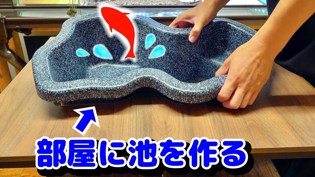 部屋のテーブルに池を作って魚を泳がせる。【冬休み暇人専用一気見版】