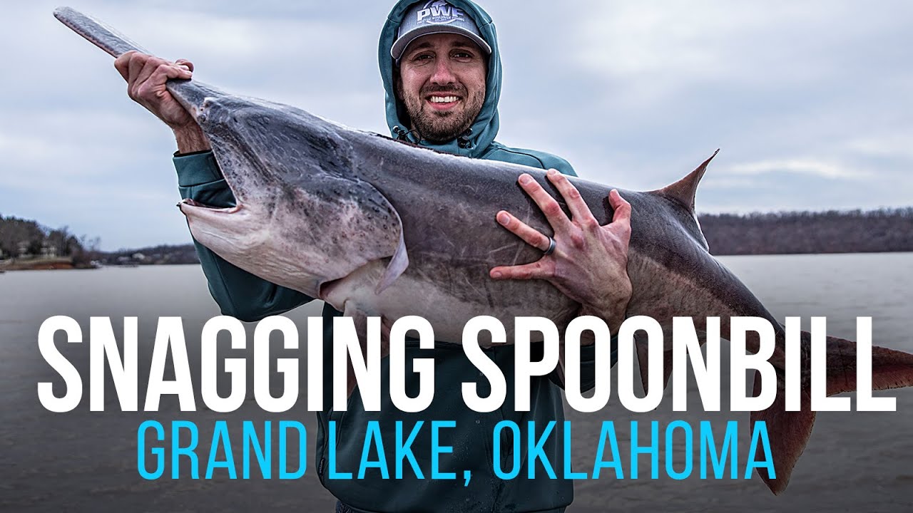 Snagging Spoonbill on Grand Lake Oklahoma (Giant Prehistoric Paddle Fish!!)