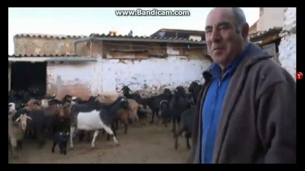 RETAMOSO DE LA JARA - Un lugar dónde vivir PARTE 3