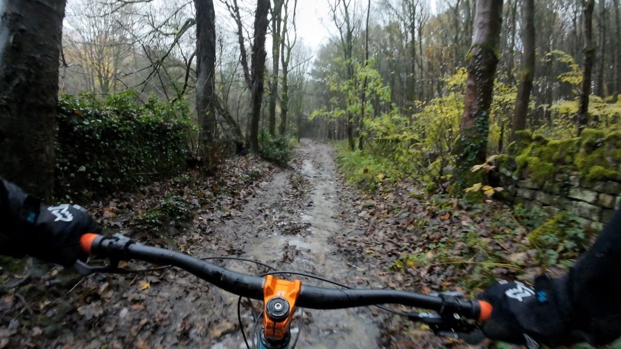Esholt Woods MTB - Hidden in the Leaves