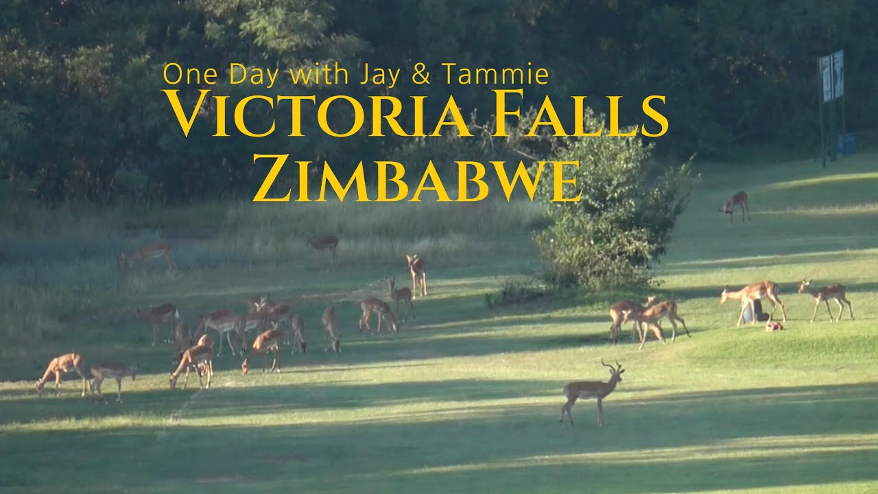 One Day at Elephant Hills Resort, Victoria Falls, Zimbabwe