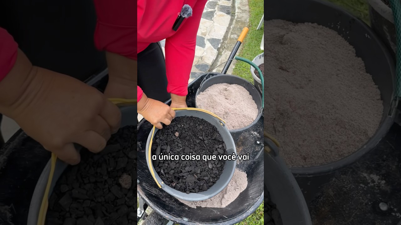 O MELHOR SUBSTRATO PARA ROSAS DO DESERTO E CACTOS #plantas #substrato #rosadodeserto #suculentas