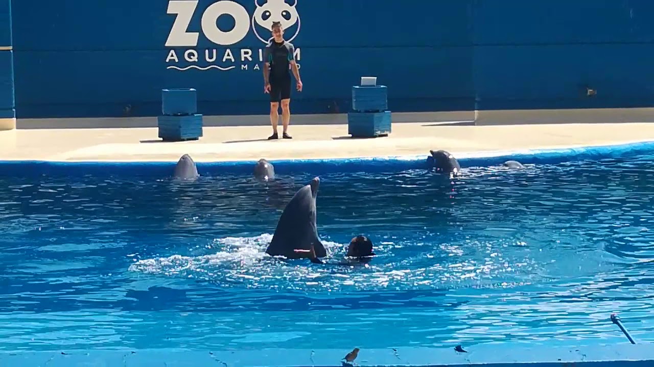 Zoo de Madrid 03.06.18