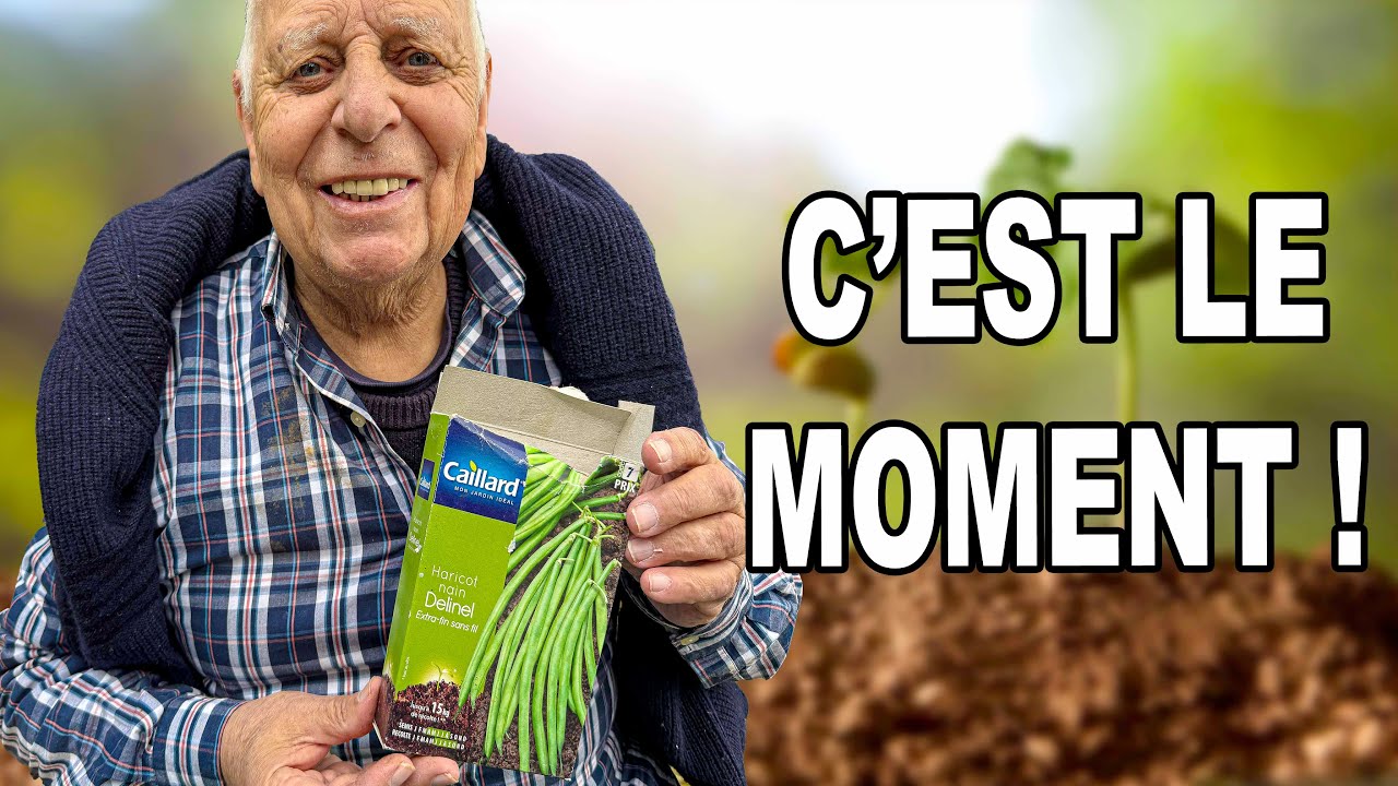 Mes 2 Techniques de semis pour GAGNER 1 MOIS D'AVANCE 🫘 (Haricots, courgettes, concombres 🥒)