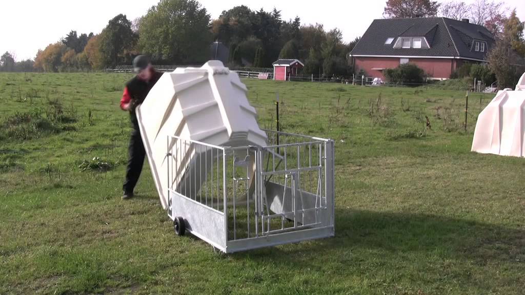 Calf-Tel - boxe individuale vitei
