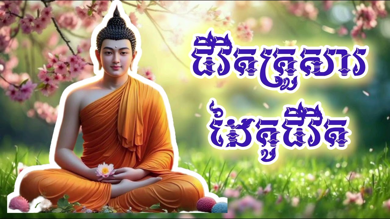 ដៃគូជីវិតអមតៈ/ Happiness in the family @chhayaneak1769 