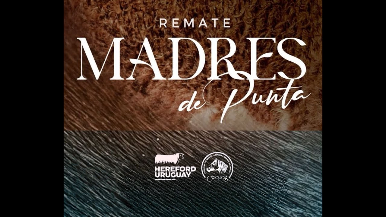 Remate Plaza Hereford - Madres en Punta