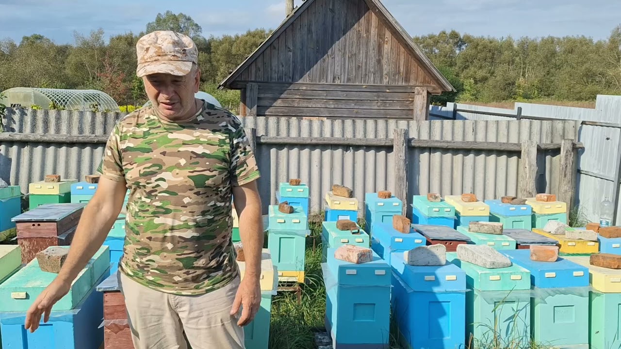 ЭТИ  ПЧЁЛЫ ДОЖИВУТ ДО ВЕСНЫ ?!!