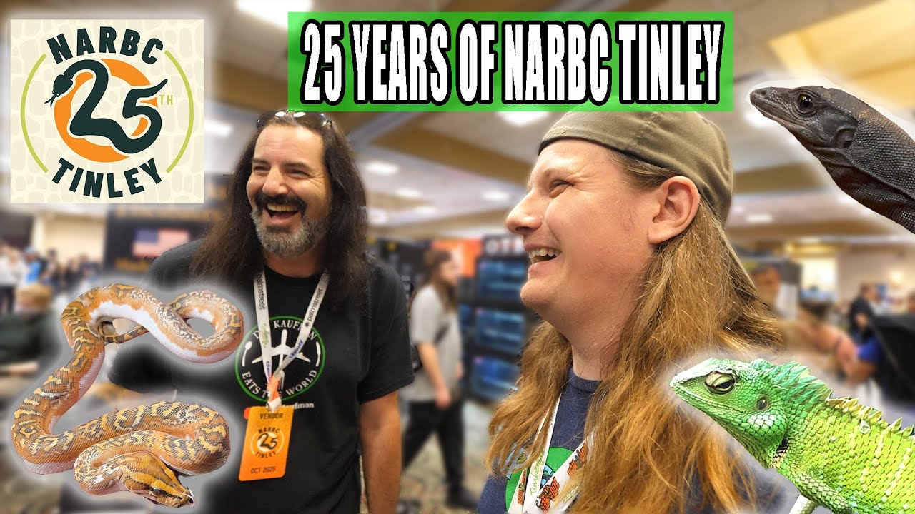 Вспоминаем 25 ЛЕТ NARBC Tinley Park!