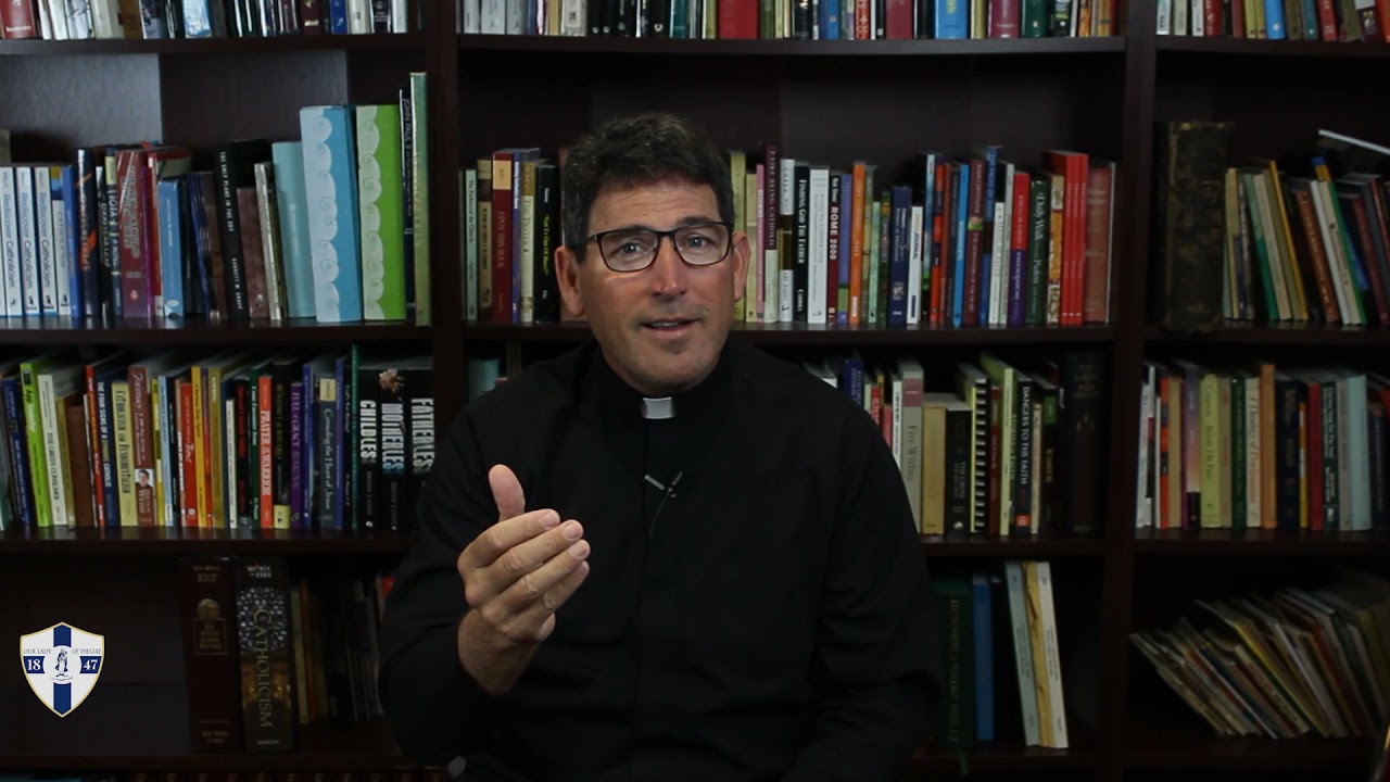 Enrollment in the Brown Scapular NOV 28th