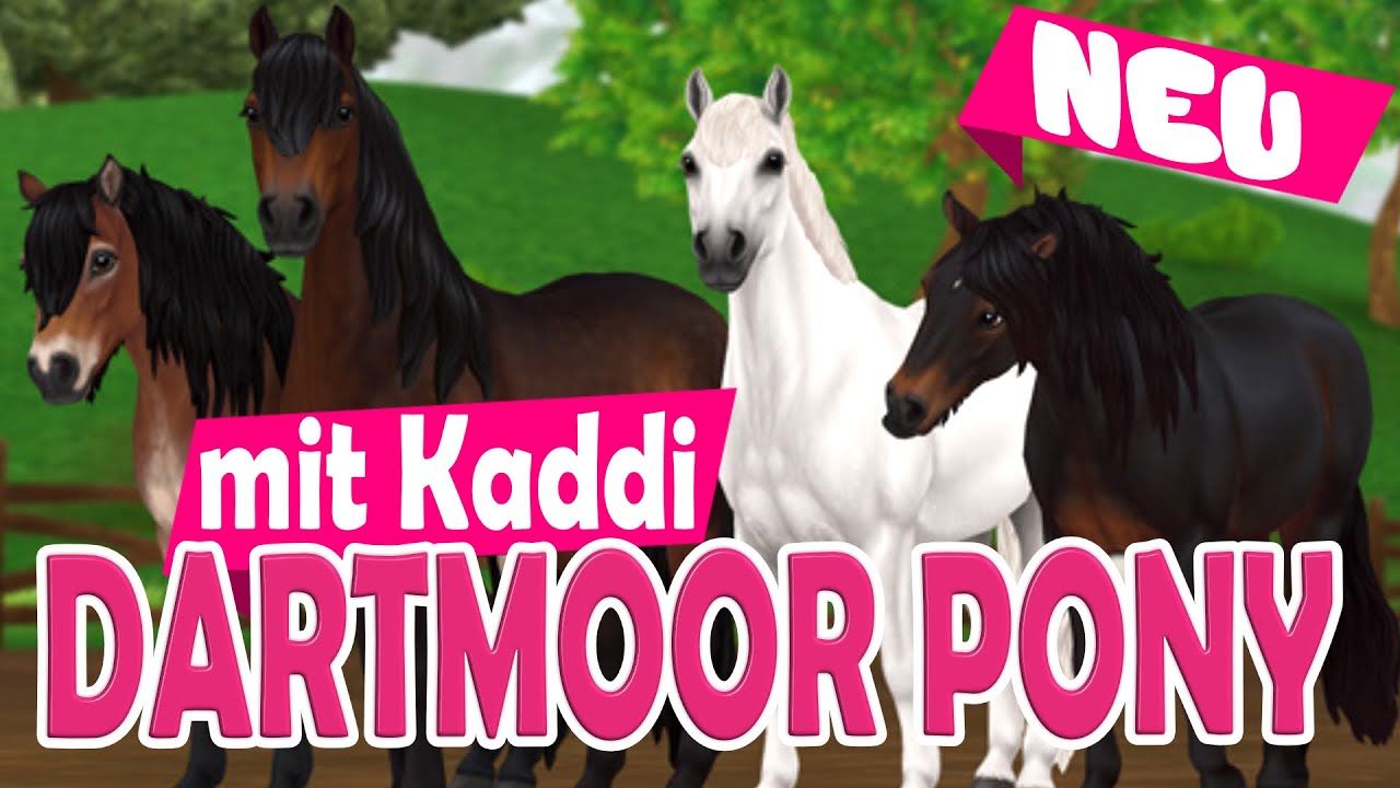 DARTMOOR PONY 🐴 NEUE RASSE 🐴 PFERDEKAUF 🐴 Star Stable Online