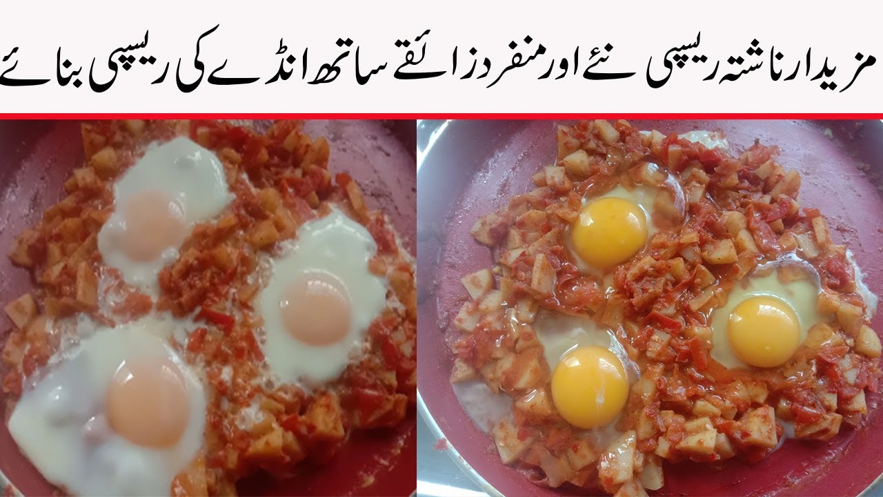 QUICK AND EASY RECIPES IN URDU/EGG BREAKFAST RECIPE IN URDU/COOKING RECIPES IN URDU