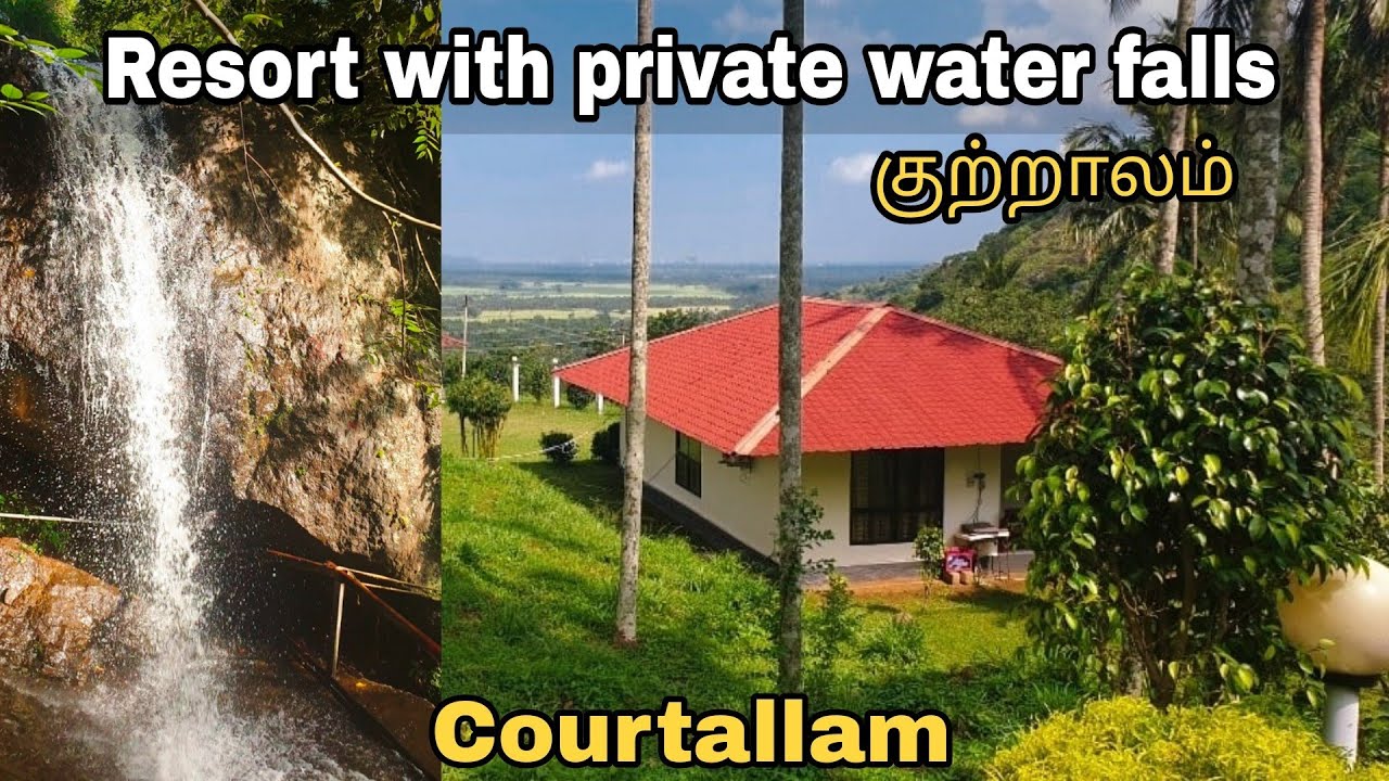 Mohan's resort - 